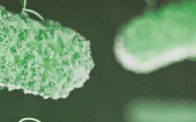 Prodotti microbiologici - Novasem srl